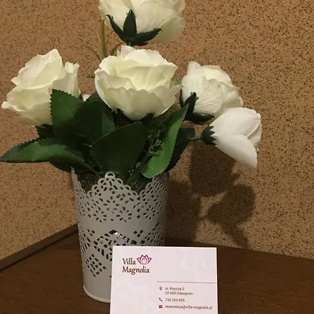 Magnolia * Oświęcim