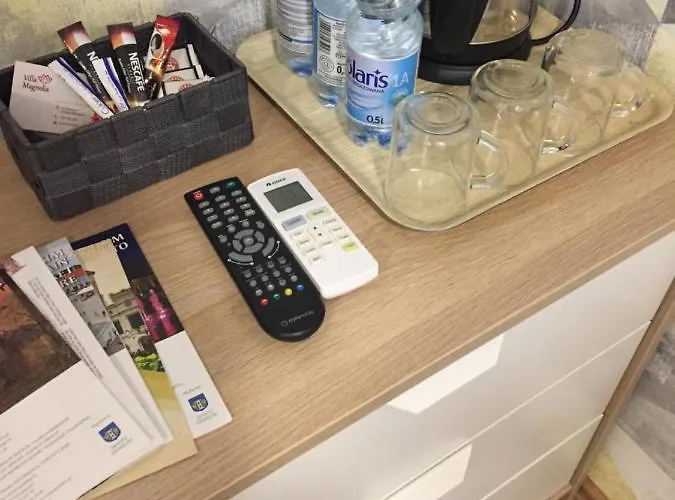 Magnolia * 奥斯威辛