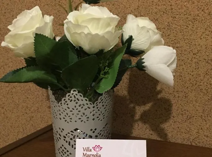 Magnolia * Auschwitz